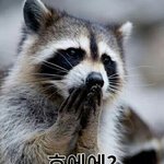 [EXO] 가온 무<b>통장</b> 안됨???