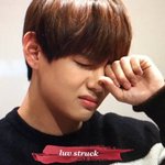 [방탄소년단] ㅅㄷ 공카월화수했던거