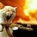 나한테패드립친애는봐라