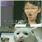 아니 <b>나인</b>걸 왜알려?ㅋㅋ