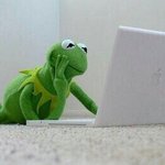 [EXO] ㅅㄷ <b>조류</b>와 인간 사이에서 나온 아기는 어떻게 생겼을까