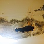 [꼭조언부탁] 집주인 정말 너무해!!!!!!!!!!!!!