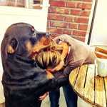 힐링 시켜주는 애완견의 <b>포옹</b>