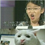 나는 야옹이다옹