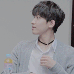 [세븐틴] 나 머글인데ㅠㅅㅠ
