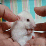 [EXO] 마음 풀라고 1~5번 마음 속에서 정하고 와(반배정 담임)