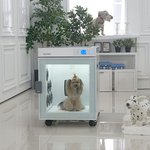 삼둥이와 함께 지내고 있어요~~:-)