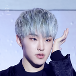 [세븐틴] <b>순영</b>이 손 신기하지않아?