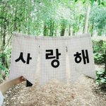 [BB라인] BB라인  공지