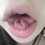약혐주의)이거 되는<b>닝겐</b>있니?