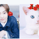 [시우민] 시우민) 이것이 슈냥이의 <b>꽃미모</b>!!