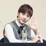 [세븐틴] 세븐틴 대표 꿈<b>나무들</b>