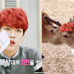 [인피니트] ㅋㅋㅋㅋㅋㅋㅋㅋㅋㅋ열<b>사슴</b>