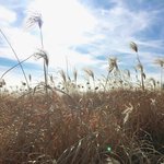 [방탄소년단] 낮누 사진 <b>보정</b>