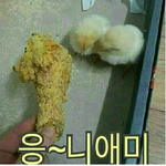 시2발년아작작설쳐