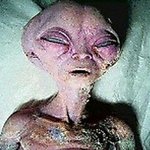 패드립치는애들<b>면상</b>공개
