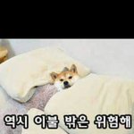 [드루와] 프로듀스101우리학교애나옴ㅋㅋㄱㄱ