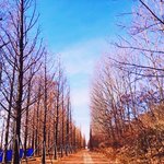 [방탄소년단] 내가 <b>보정</b>한건데 평가좀