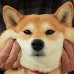 [10대의성] 19)남자들 <b>허세</b>