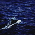 [방탄소년단] 이거 글귀 만들<b>라켓</b>는데 못만들겠따 쓸려면 써