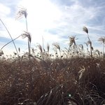 [방탄소년단] <b>RM</b>사진작가의사진을보정해보았다.