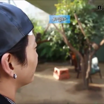 [BAP] 이거너무귀여워..