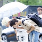 [세븐틴] 넘나 청량한 우리애기들