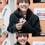 [방탄소년단] 태태멍뭉미....