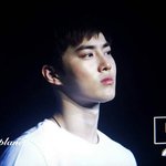 [EXO] 이사짐센터에서 이사짐을 싸는<b>도중</b>