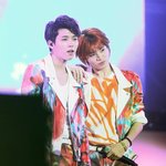 [인피니트] 콘에서 불진 보고<b>시프</b>다요