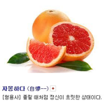 [방탄소년단] ㅅㄷ혹시지금 기분<b>자몽</b>한 이삐들있어