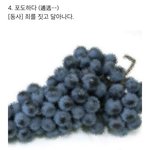 [방탄소년단] 방탄볼때마다 내가 포도하는거같아