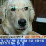 <b>엘리</b>에요.뭐하세요?
