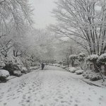 라라슬퍼요..히융히융