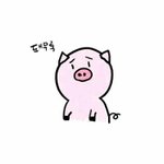 [댓글부탁해] 19)십대들의 <b>진도</b>는