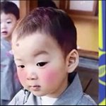 내가생각하는 삼둥이 닮은꼴