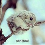 [ㄷㄷ] 지금 날씨 한파경보에 <b>폭설</b>;;;;