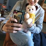 [댓글부탁해] 헤어팩 추천 부탁해!