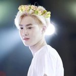 [내심장] 진심 금발 박제 시켜야되는 아이돌
