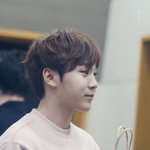 [세븐틴] 부둥이 <b>흰둥이</b> 겸둥이 (+추가)