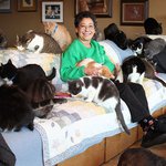 [포캣<b>몬</b>] 1100마리의 고양이와 함께 지내는 할머니!