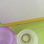 이 렌즈 뭔지 아는 사람..? <b>디비</b>치꺼 같은데..