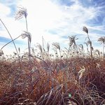 [방탄소년단] <b>rm</b>사진보정