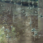 [EXO] 난 레이에대한 생각이 좀다르다.