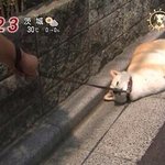 <b>바보</b>들