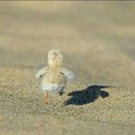 [EXO] 난 모2디 모으는게 내취미..