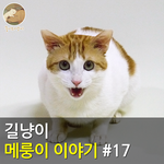 [메룽이<b>집사</b>] 길냥이 메룽이 이야기 #17