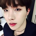 [방탄소년단] 호시기 셀카