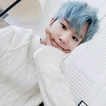 [세븐틴] 난오늘도..