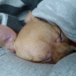 [EXO] 언냐 <b>자세</b>바꾸고싶어...^^;